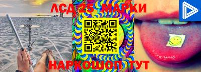 PSILOCYBIN Донской
