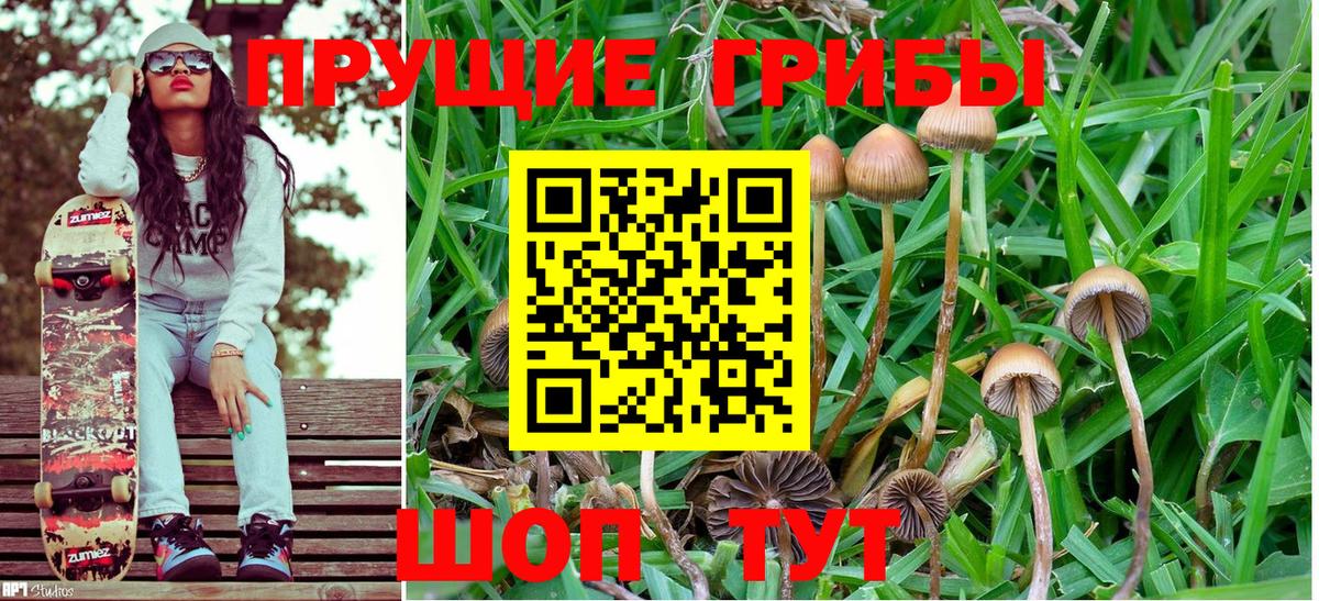 Добрянка  Псилоцибиновые грибы Psilocybine cubensis  Галлюциногенные грибы мицелий  Вход с VPN 