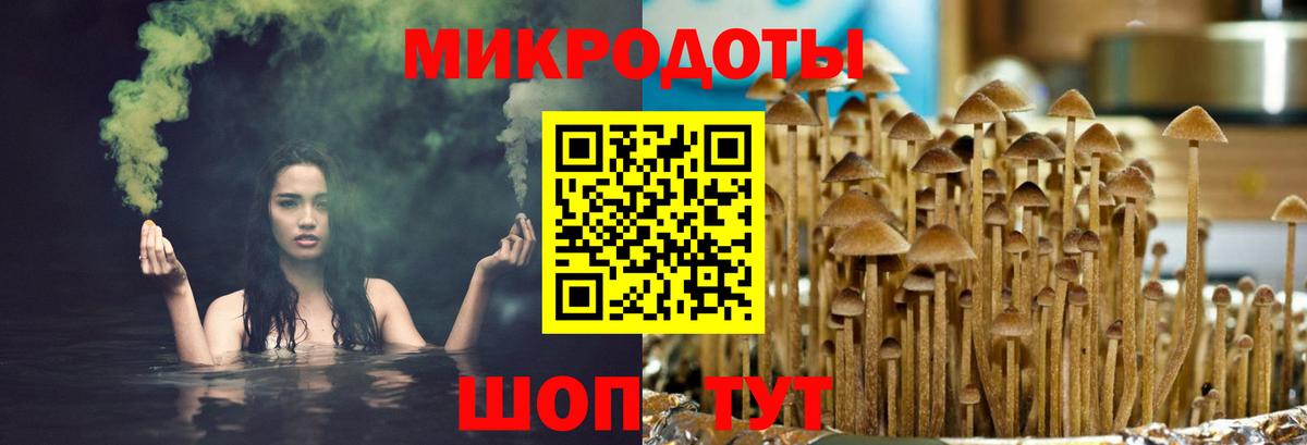 Псилоцибиновые грибы Magic Shrooms Добрянка